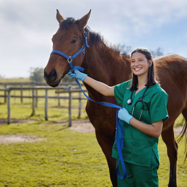 Animal Husbandry Young veterinarian with horse representing animal husbandry applications of liquid nitrogen