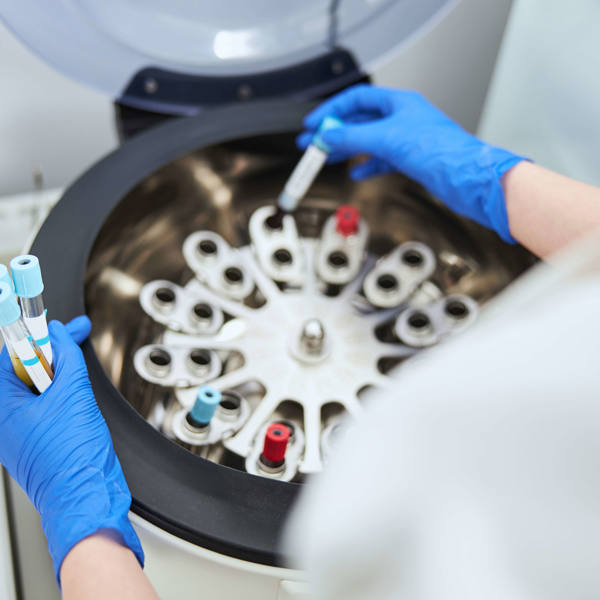 NMR Laboratory biochemist positioning sodium citrate vacutainers for analysis and sample preservation