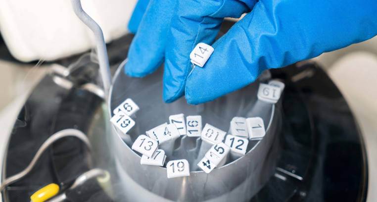 Academic research samples representing educational and laboratory applications of liquid nitrogen